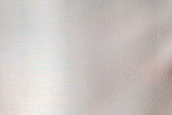 Monitor Dune Gullies in Matara Crater