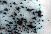 Cryptic Terrain Margin Monitoring in Reynolds Crater