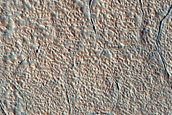 Ejecta Covered with Circular Pits in Utopia Planitia