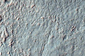 Monitor Gullies in Niquero Crater