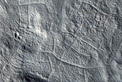 Brain Terrain in Protonilus Mensae