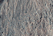 Gullies in Nereidum Montes