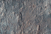 Terrain Sample
