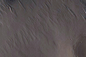 Candidate Recent Impact Site