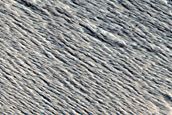 Monitoring Putative New Impact Site