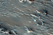 Light-Toned Knobby Unit in Degraded Crater