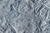 Well-Preserved Polygons