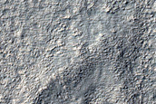 Gullies and Ridges in Mid-Latitude Southern Crater