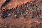 Scarp Monitoring