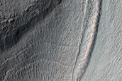Lobate Flow Feature within Channel in Nereidum Montes
