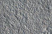 Terrain Sample