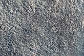 Northern Plains Terrain Sample