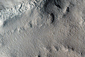 Cluster of Filled Craters