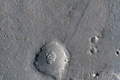 Terrain Sample