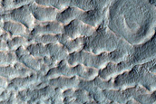 Gullied Slope