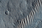 Terrain Sample