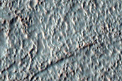 Gullies and Sediment Fan in Crater