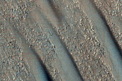 USGS Dune Database 1297-570