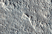 Layered Feature in Crater in Nilosyrtis Mensae