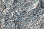 Gullies with Terminal Ridges in Terra Cimmeria