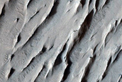 Mounds