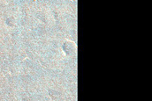 Sample in Utopia Planitia