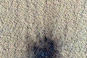 Candidate Recent Impact Site