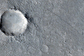 Elysium Planitia