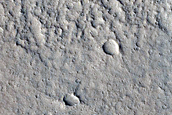 Rings and Cones in Sacra Sulci