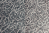 Monitor Defrosting of Ice-Exposing Crater