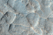 Gully Monitoring