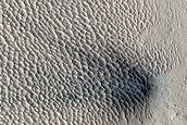 Candidate Recent Impact Site