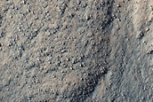 Gully Landforms near Argyre Region