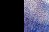 Slope Features in Hellas Region