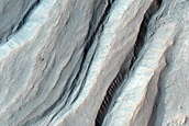 Gully Monitoring