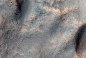 Gullied Slope