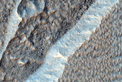 Scarp Monitoring