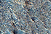 Flow-Like Feature within Chryse Planitia