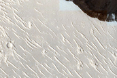 Cerberus Fossae Slopes with Boulder Tracks