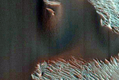 Ongoing Dune Activity in Ganges Chasma
