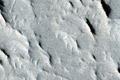 Curved Ridges in Aeolis Planum