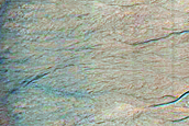 Eastern Rim of Gasa Crater