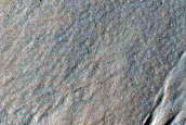 Gully Monitoring