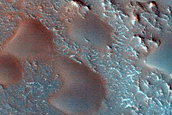 Cerberus Region Seasonal Dune Monitoring