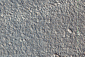 Lobate Flows in Phlegra Dorsa