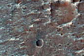 Monitoring Small Dark Dune in Tyrrhena Terra