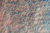 Gully Monitoring