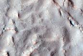 Gully Monitoring and Topography