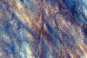 Gully Monitoring
