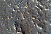 Terrain in Utopia Planitia